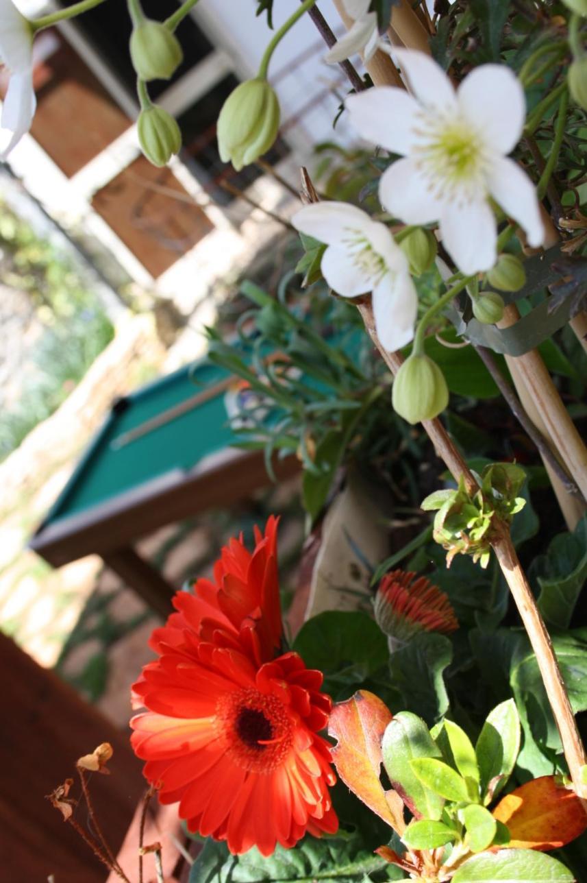 La Cascata Bed & Breakfast Noci Bagian luar foto