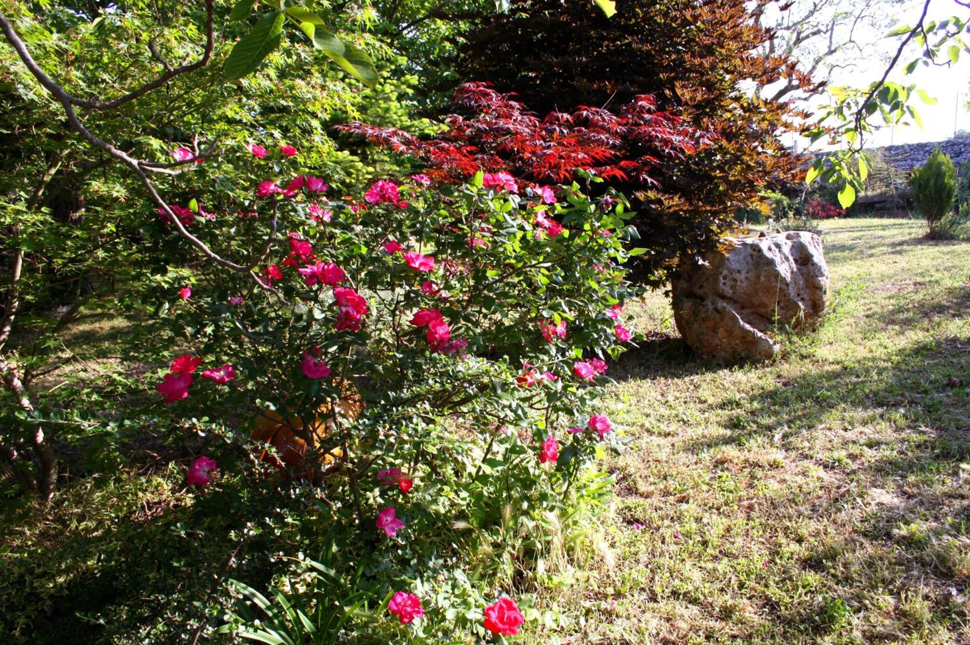 La Cascata Bed & Breakfast Noci Bagian luar foto