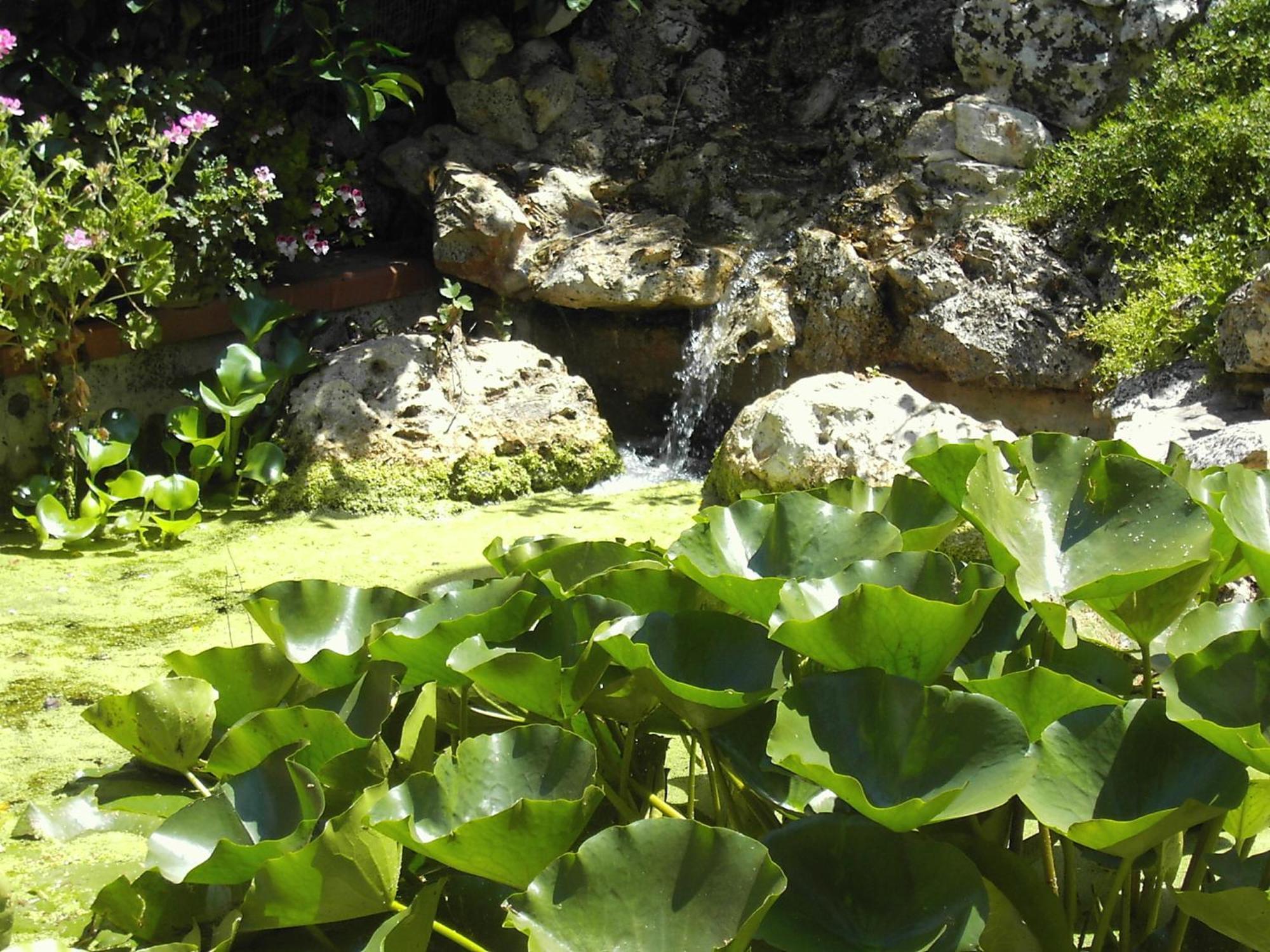 La Cascata Bed & Breakfast Noci Bagian luar foto